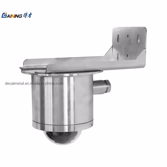 OEM ODM индивидуальный реверсивный сладкий